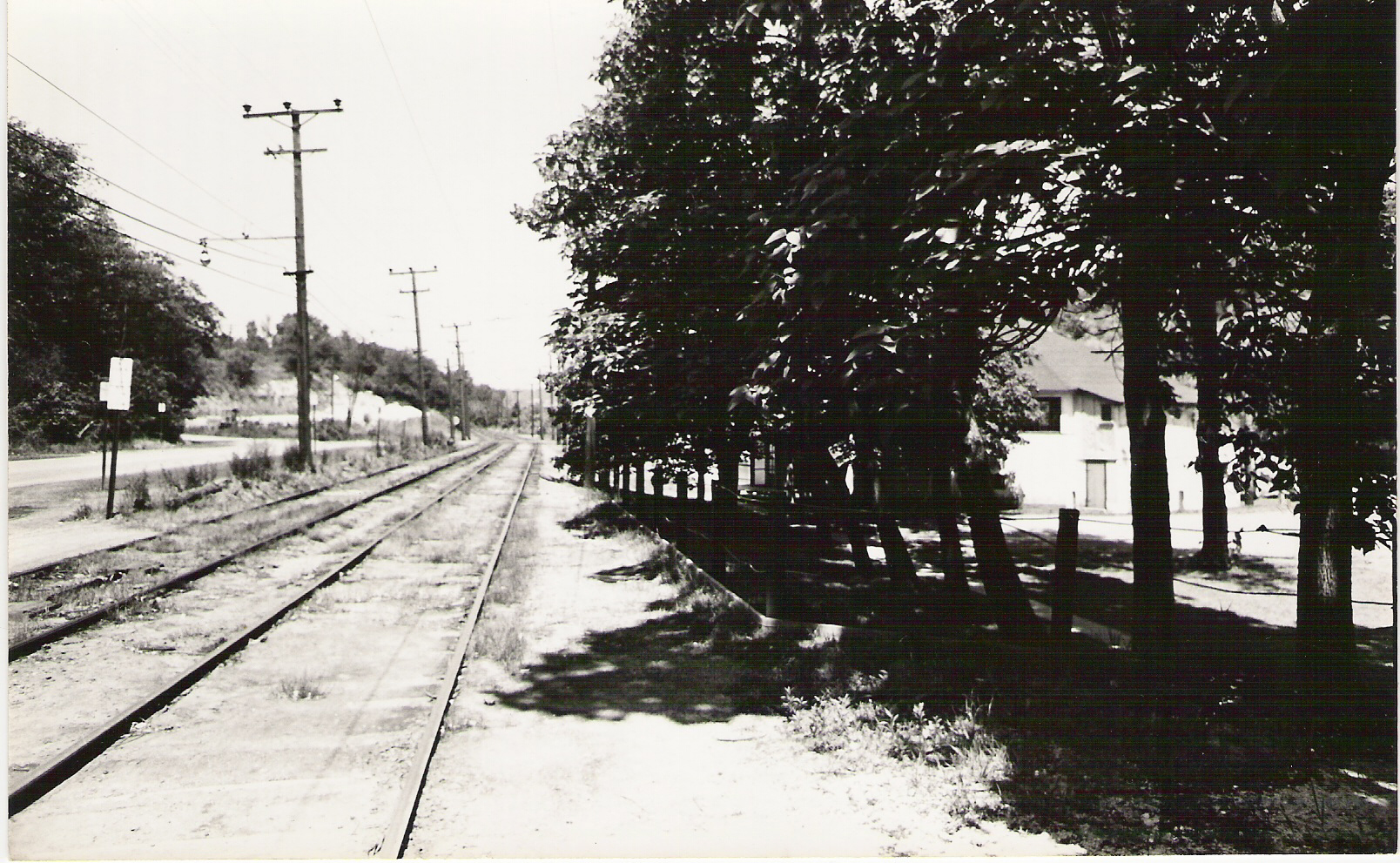 1965: Linden Grove