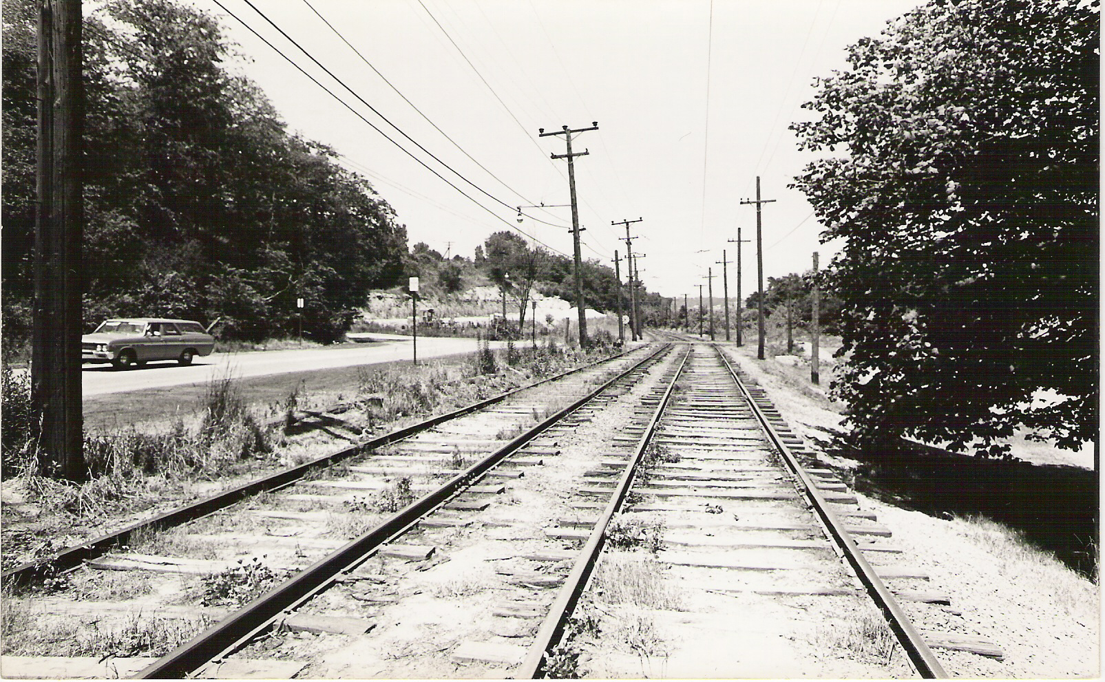 1965: Linden Grove